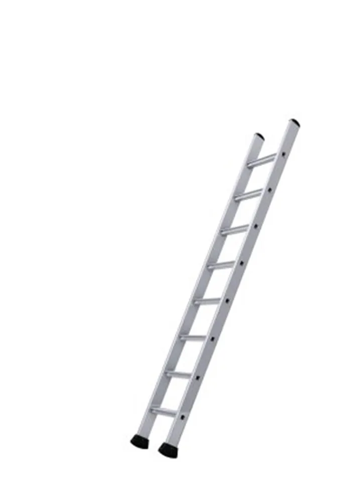 MAGAZIJNLADDER MET TRAPTREDEN 1X10