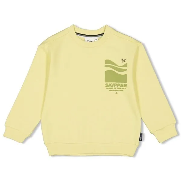 STURDY BOYS WINTER ’24’25 SWEATER COASTEL COOL LIME 71600585